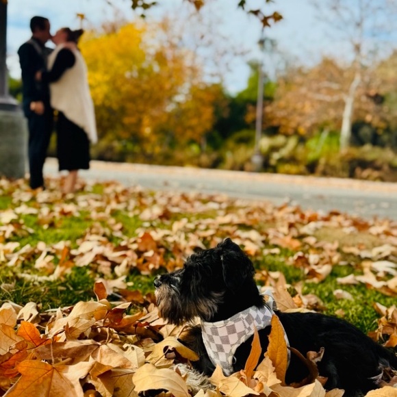 Meet your Posher, Kyla - Picture 8 of 15